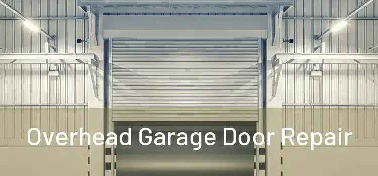 Overhead Garage Door Repair